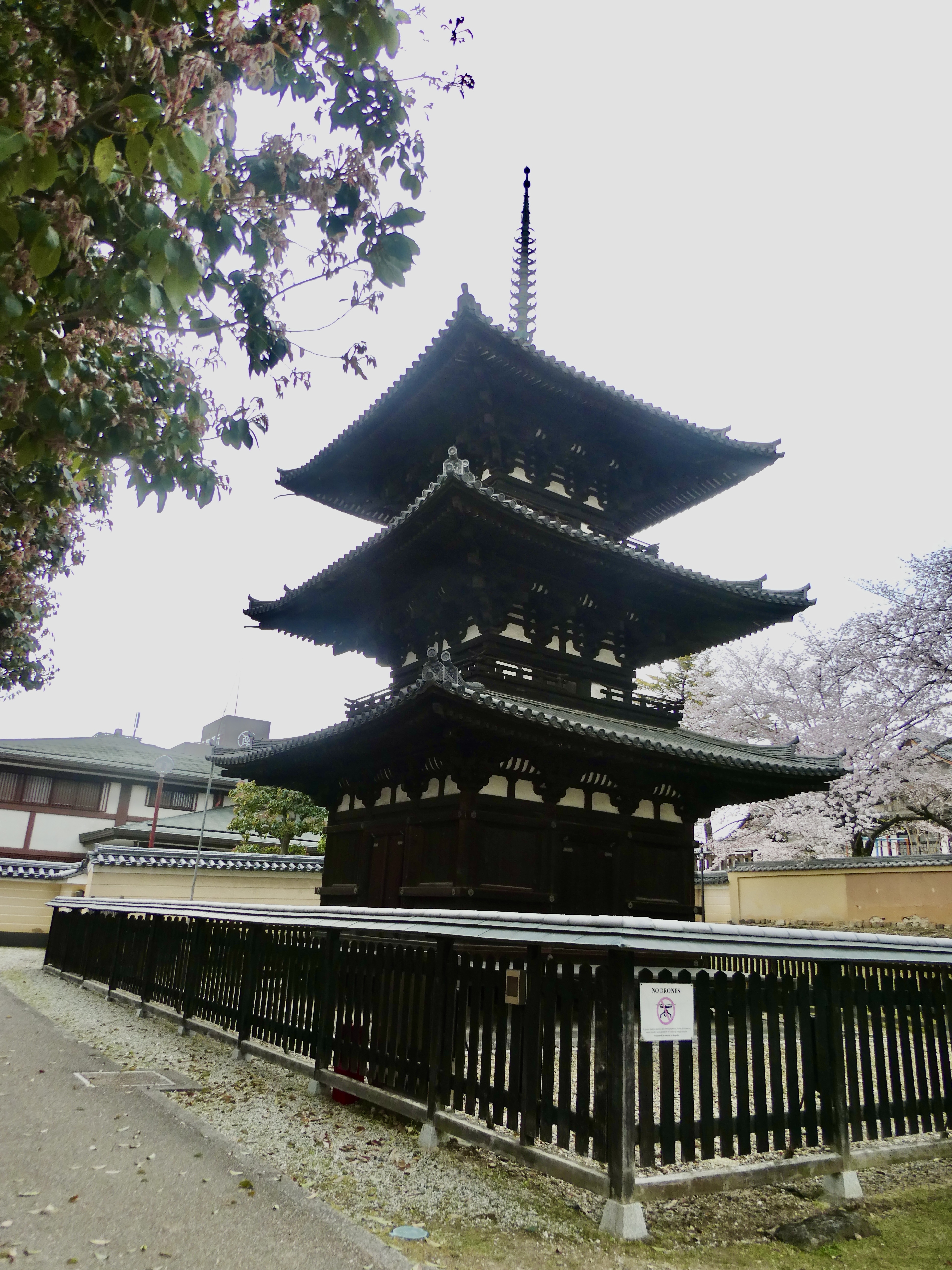 P1007444.jpeg
